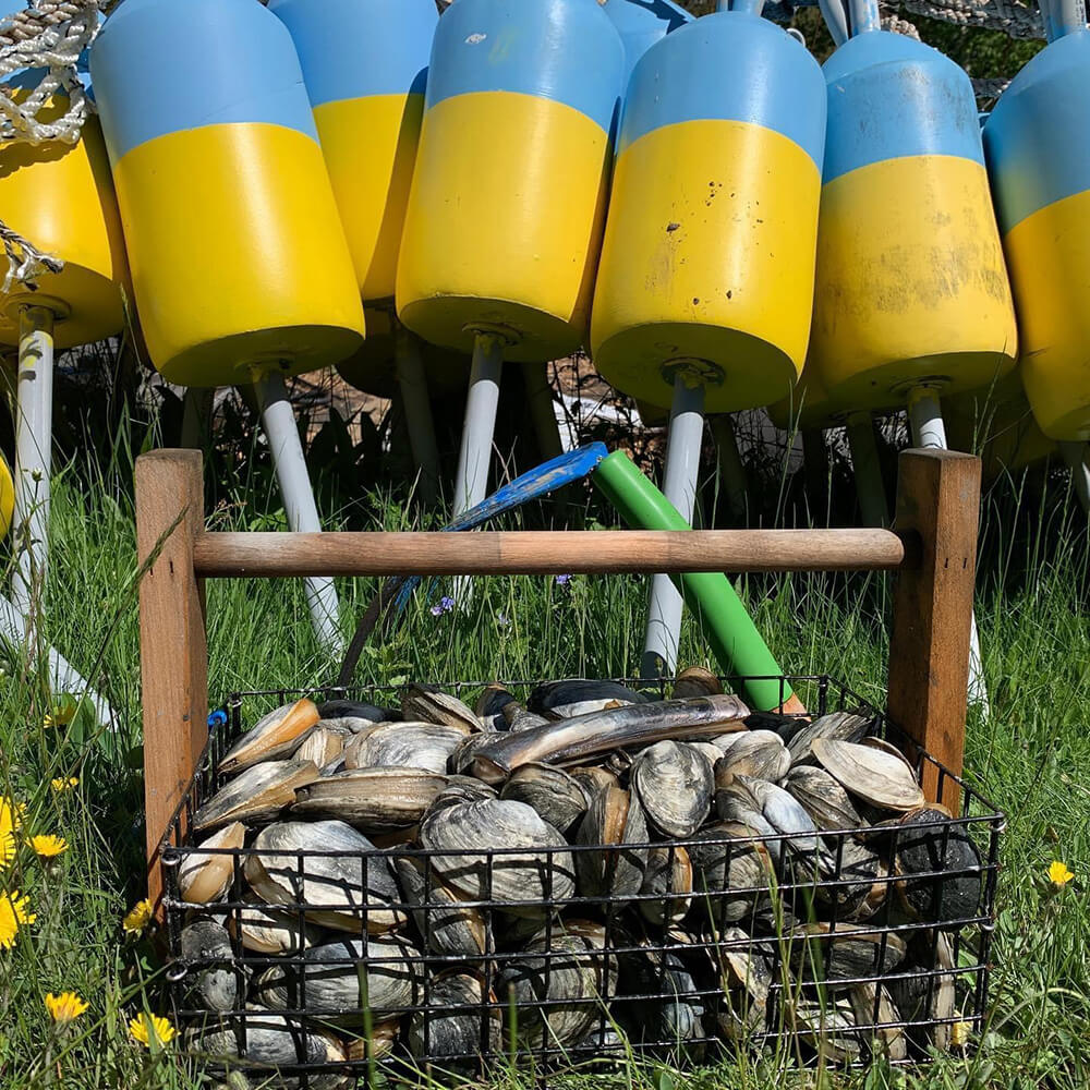 Lobster Fishing Buoys and a basket of freshly caught clams
