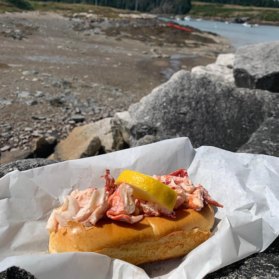Maine Lobster Roll on the rocks on the Maine coast from the Maine Lobster Lady