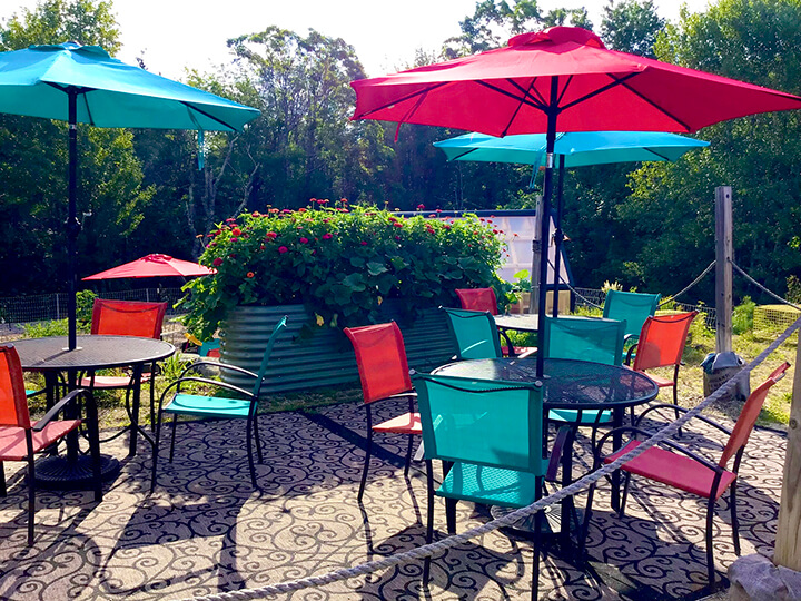 Garden seating is available at The Maine Lobster Lady restaurant